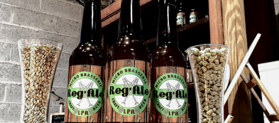 Portrait Brasseur :  Brasserie Reg'Ale
