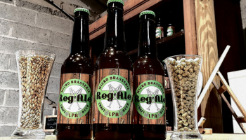 Portrait Brasseur :  Brasserie Reg'Ale